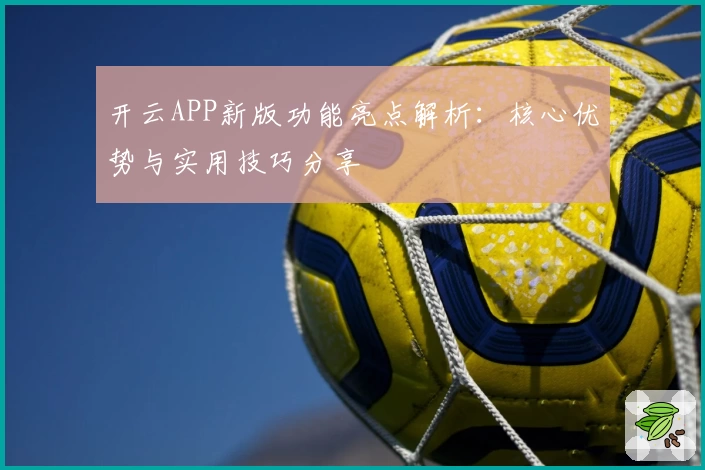 开云APP新版功能亮点解析：核心优势与实用技巧分享